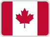 language-icon